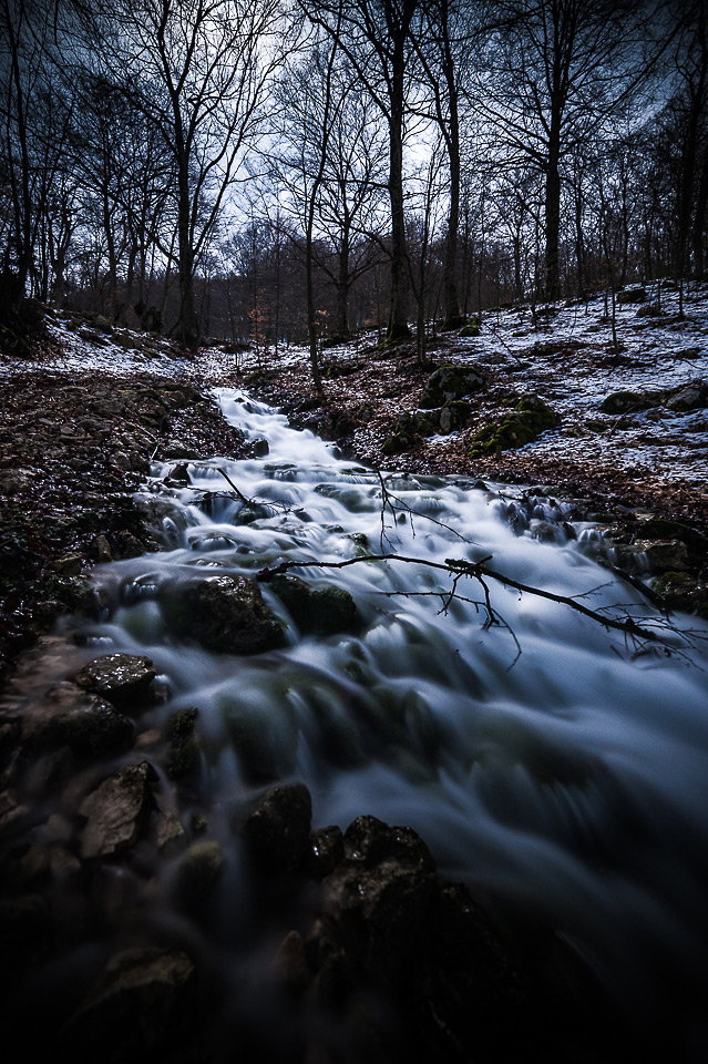 Il bosco delle streghe