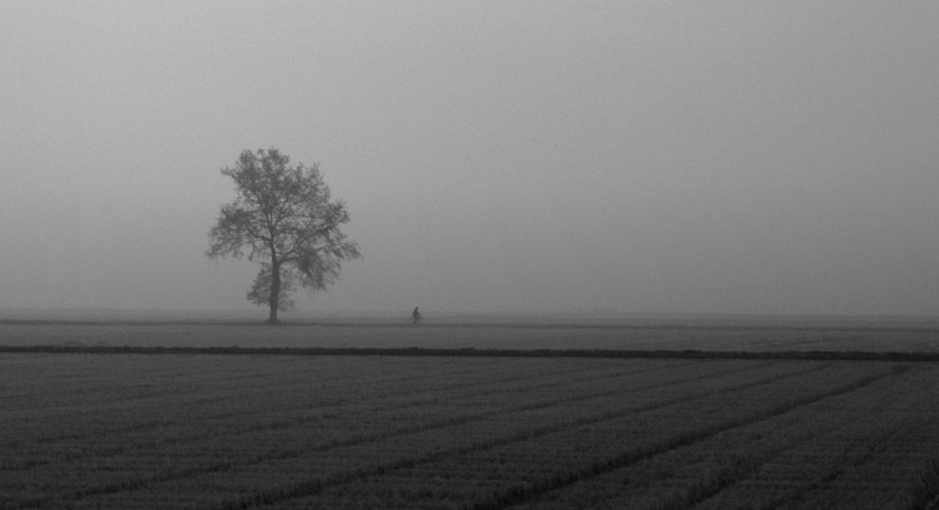 Pedalando nella campagna