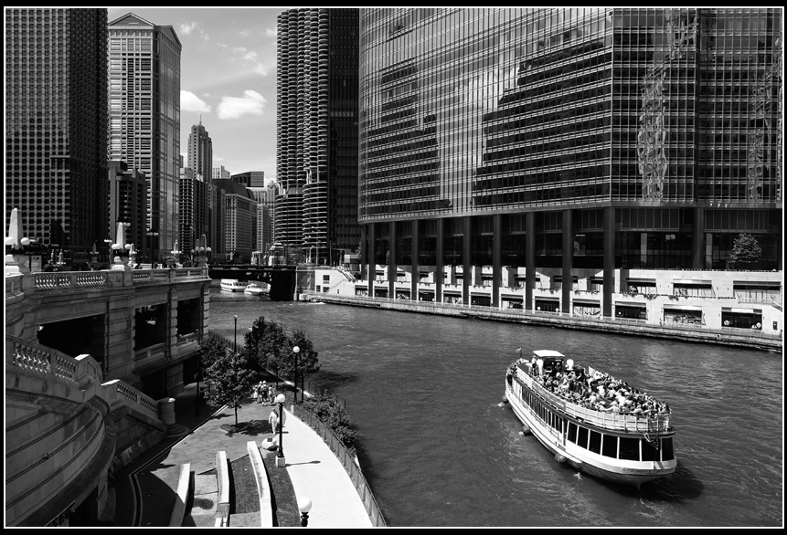 Foresta pluviale... cittadina