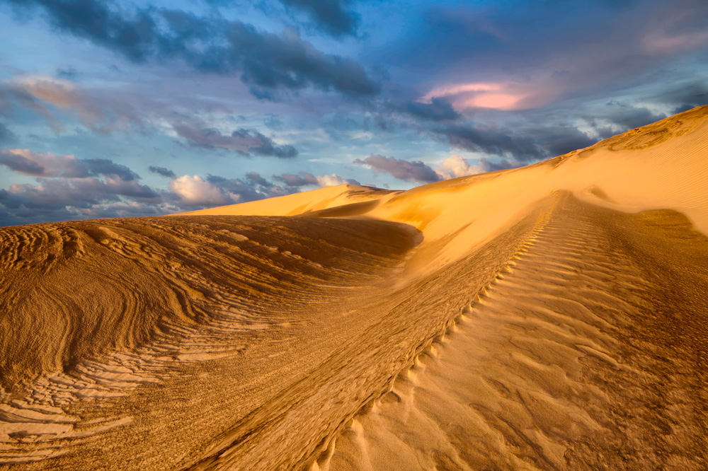 Dune dopo la pioggia