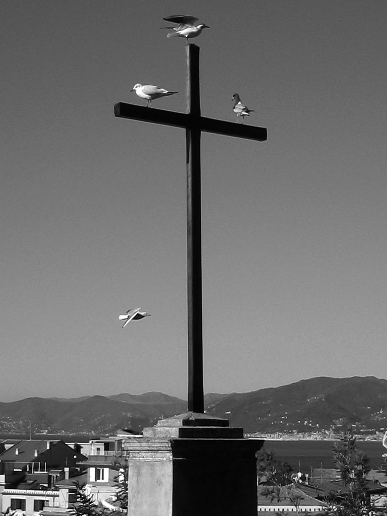 In Volo sulla Croce