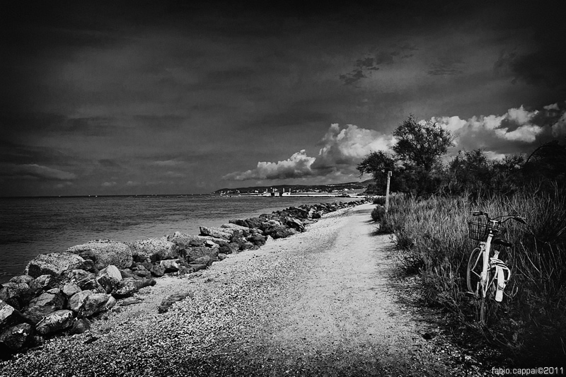 :: CECINA ...  [02-05]