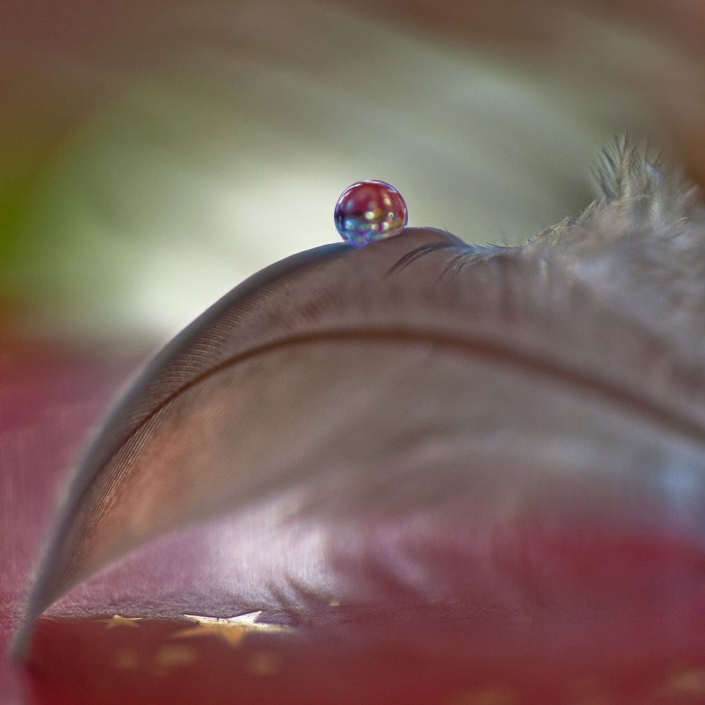 �  nata una stella...