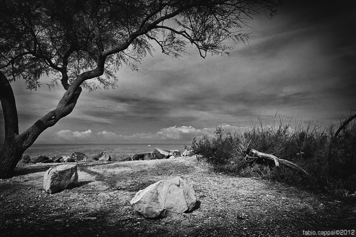 :: CECINA ...  [02-08]