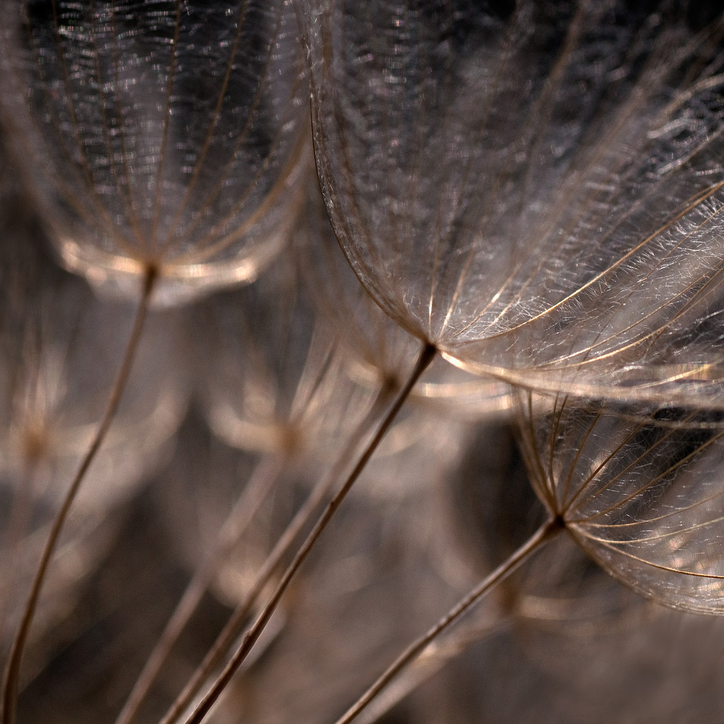 aspettando il vento....