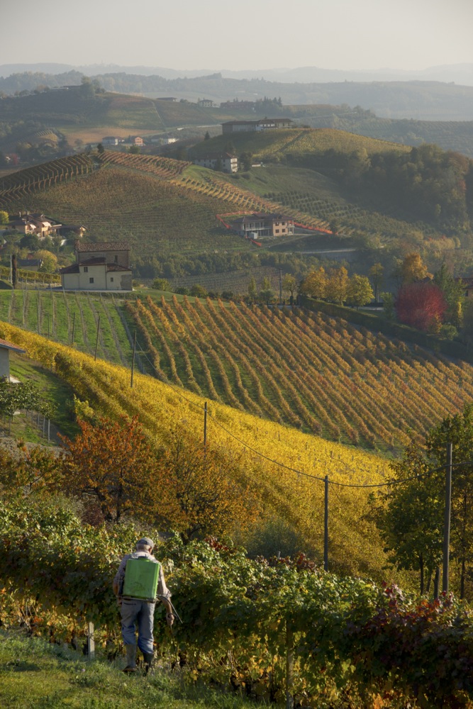 Langhe 3