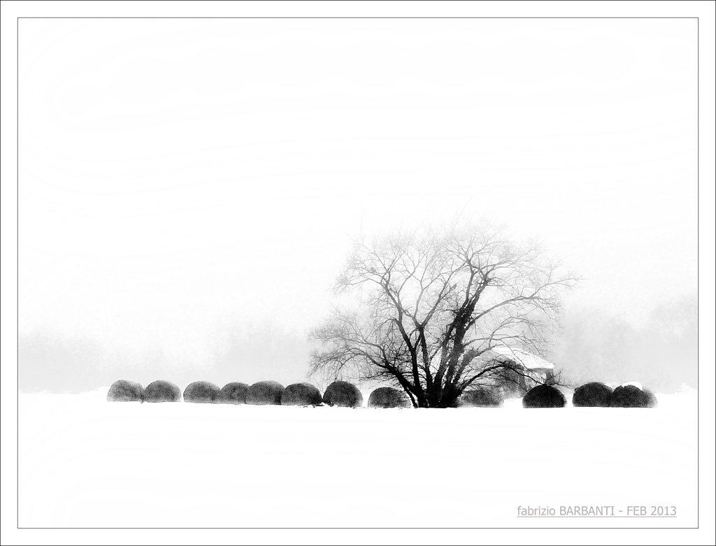 inverno in campagna