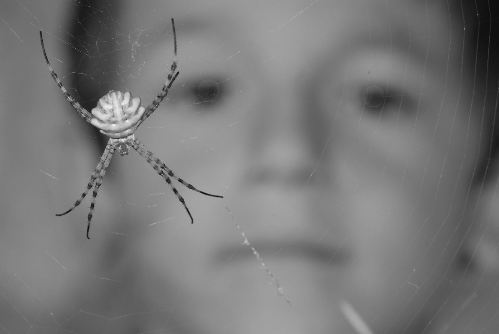 Aracnofobia