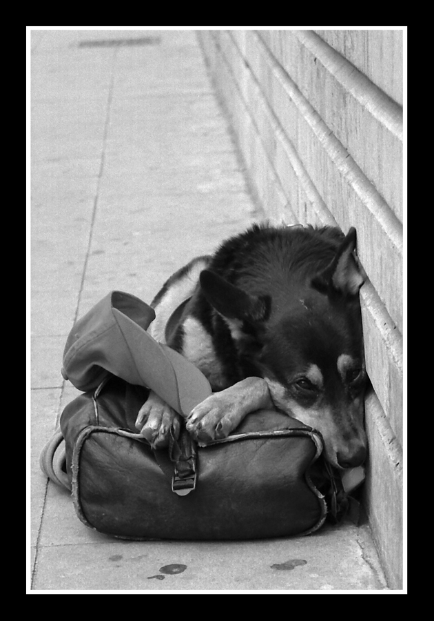 Sindrome d'abbandono