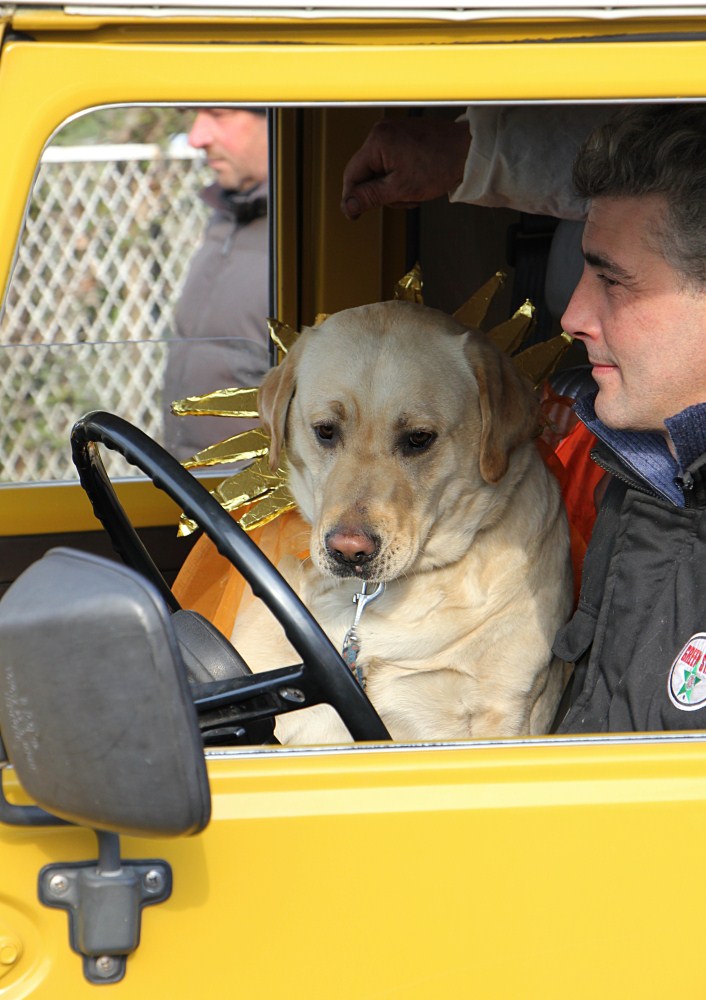 ma lo sa che lei guida come un cane?