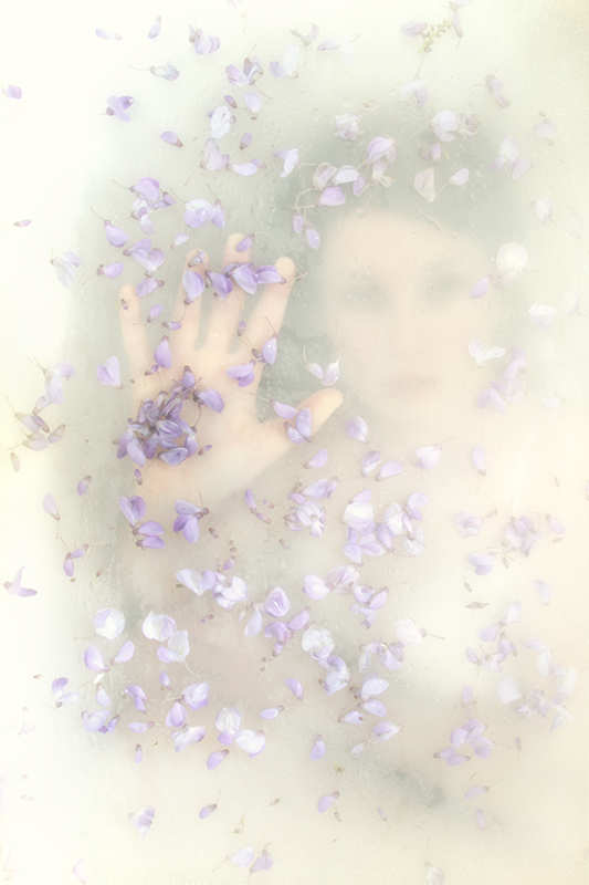 Tendine ...odor di glicine stanco