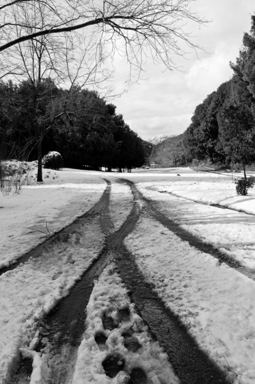 Simmetrie nella neve