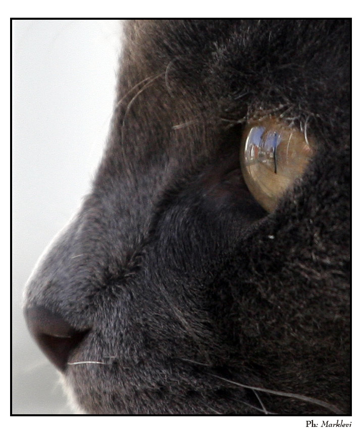 come lui vede il mondo