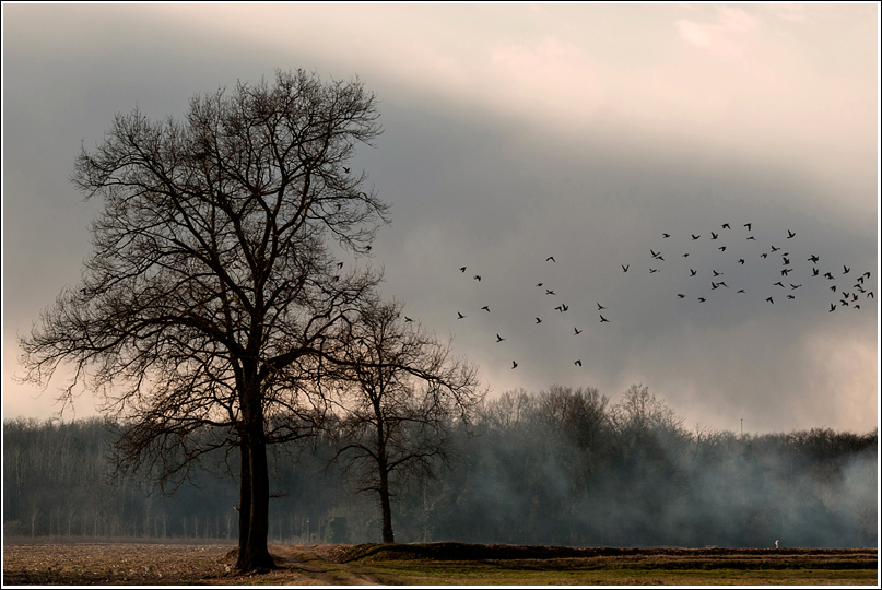 Tensione nell'aria...