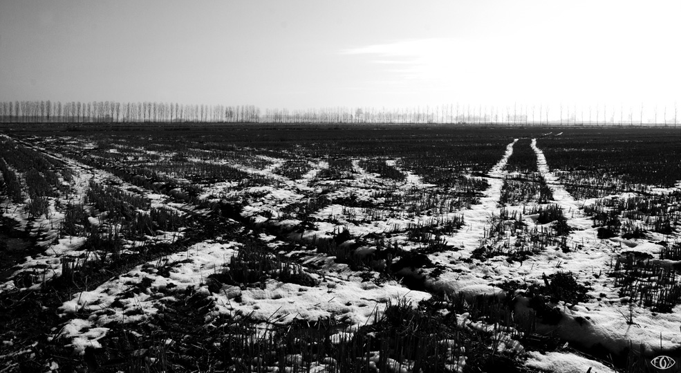 La Bassa Veronese II