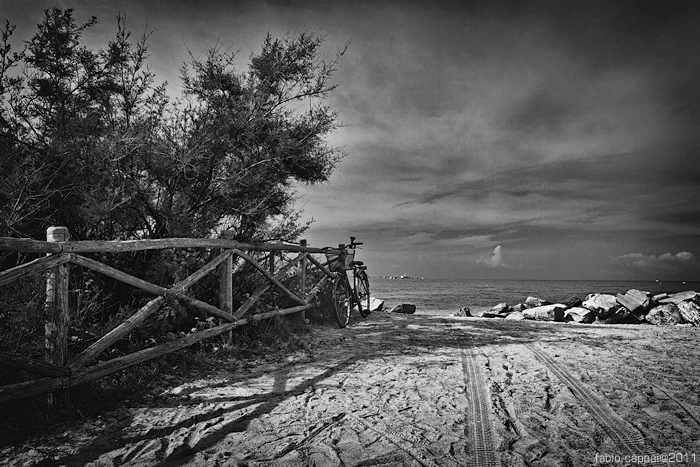 :: CECINA ...  [02-12]