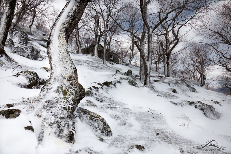 ...lavoro del vento.......