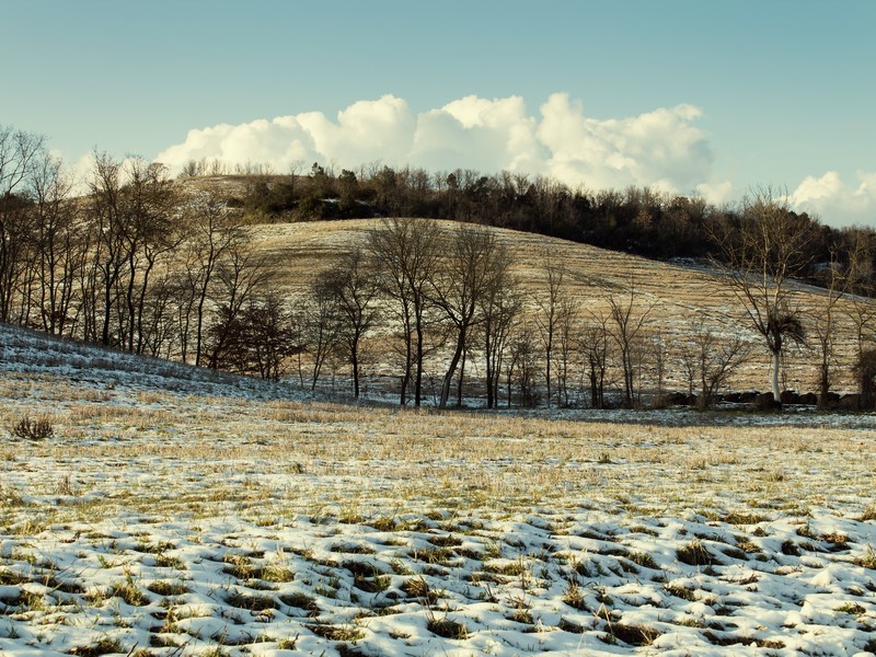 ...gli ultimi freddi...