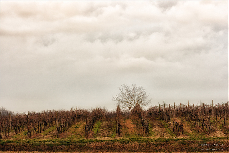 La campagna d'inverno