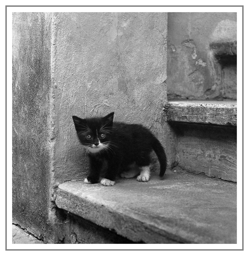 E adesso cosa faccio?