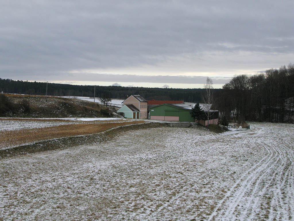 Paese dei boschi - Austria