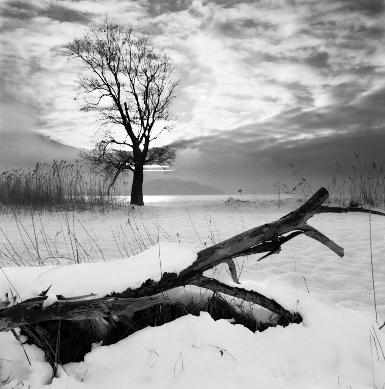 Il solito pomeriggio