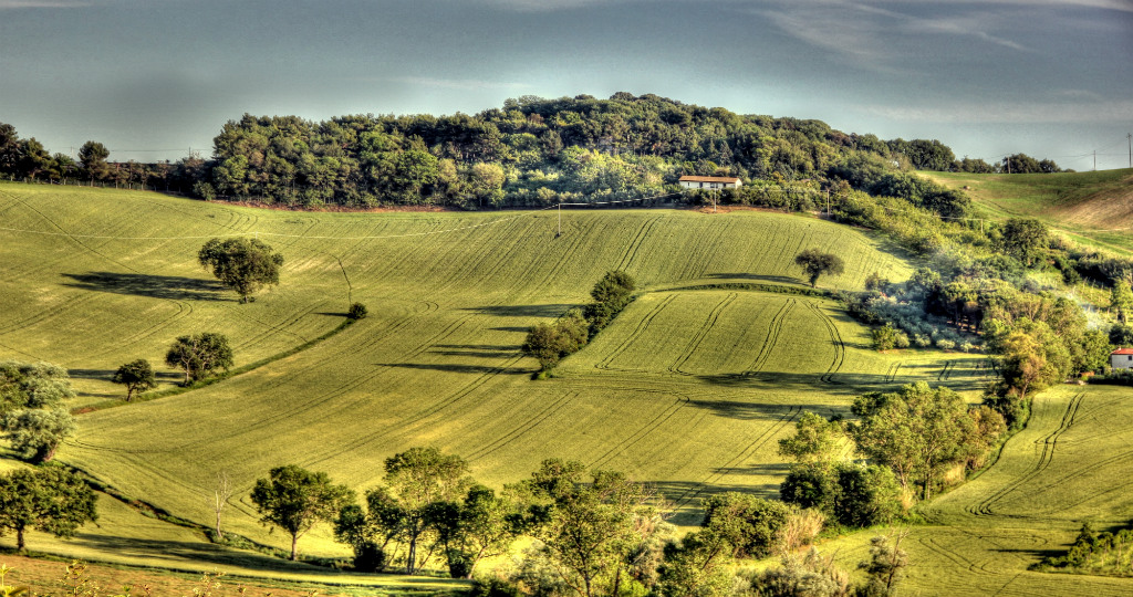 Paesaggio marchigiano