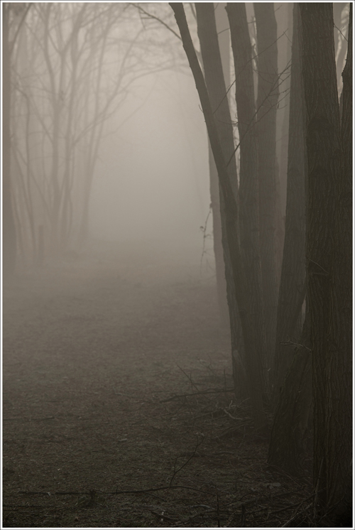 Lungo l'argine di un mattino...