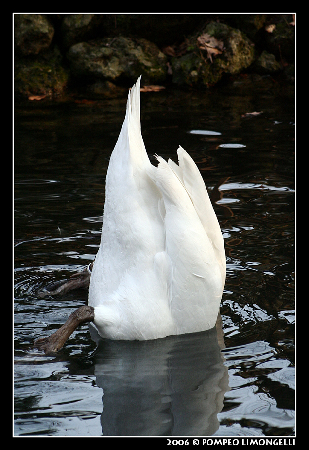 Iceberg nel Parco di Monza