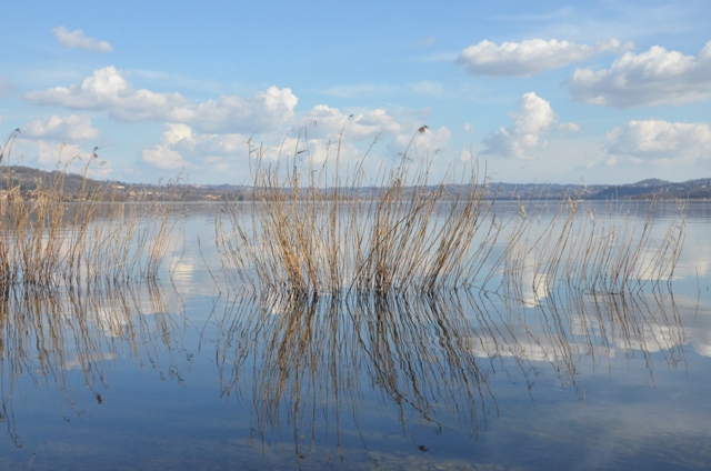 Pomeriggio al lago 2