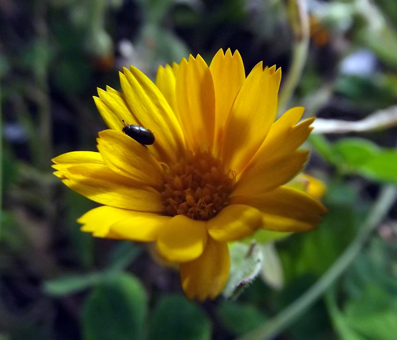 Primavera in arrivo!