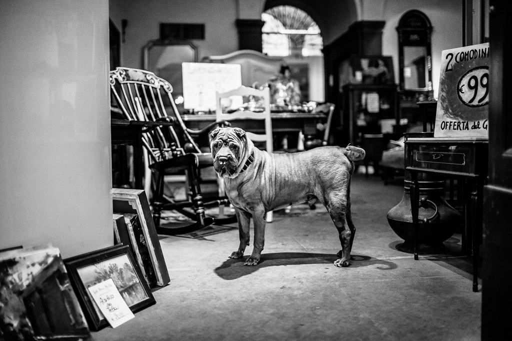 Non sono in vendita!