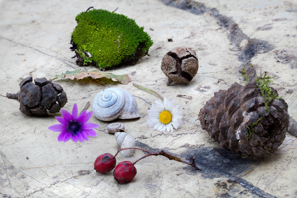 Aspettando la Primavera