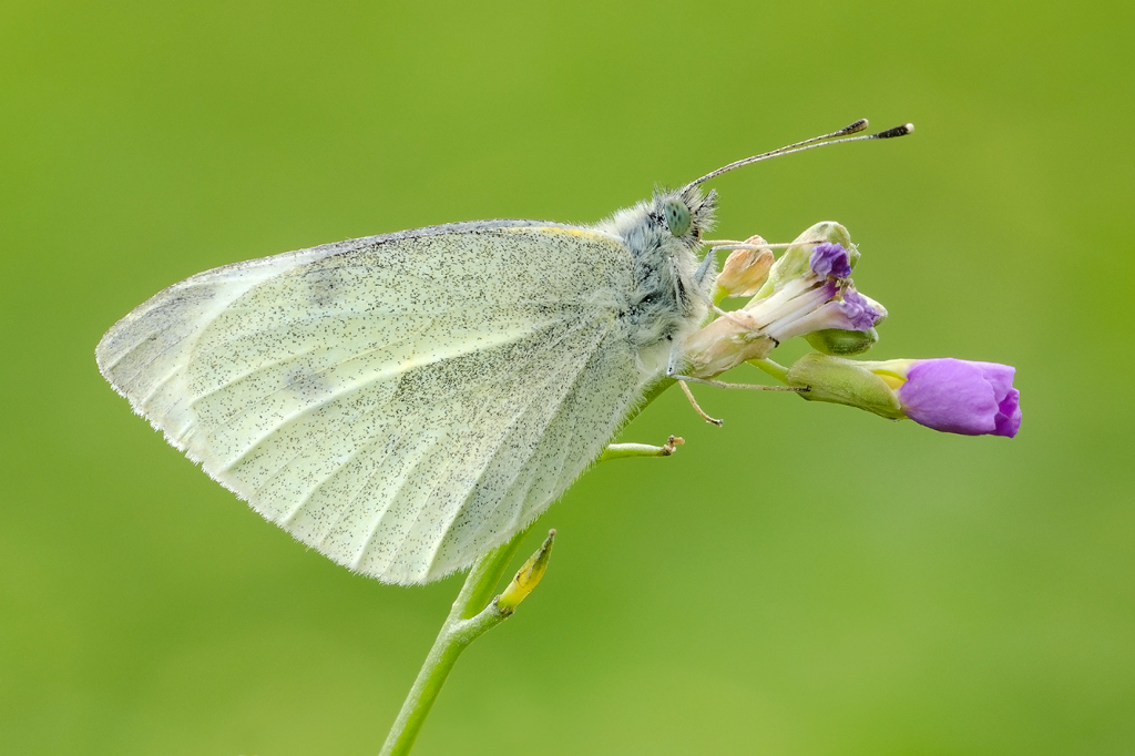La prima di stagione!