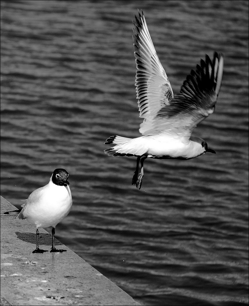 Ciao, torno subito...