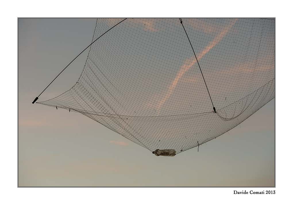 Messaggi....In Rete...