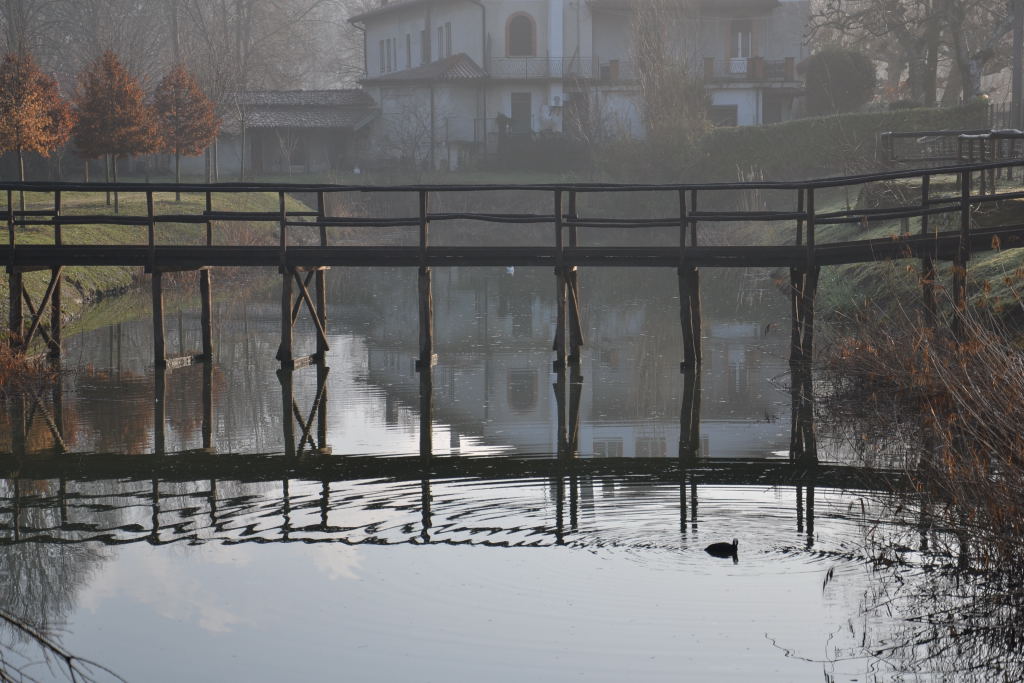 ponticello sullo stagno