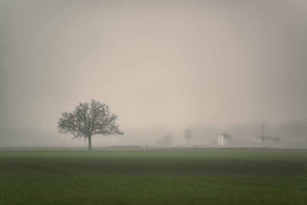 velate trasparenze padane