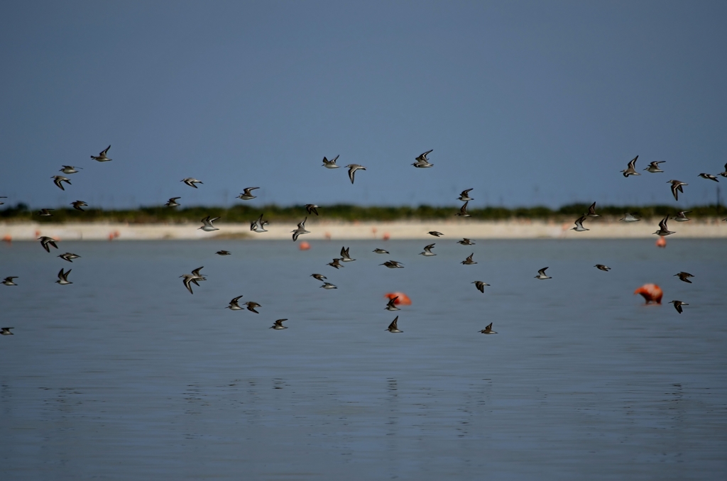 verso altri lidi!!!!