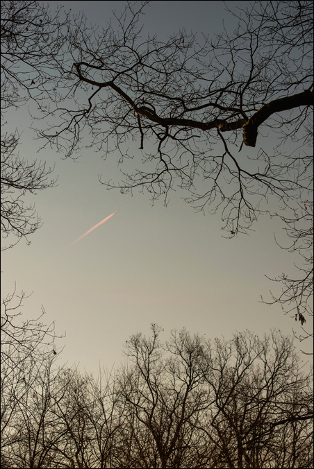 Il guizzo in un varco...