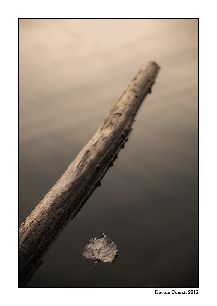 2013/14 (Buona Pasqua)