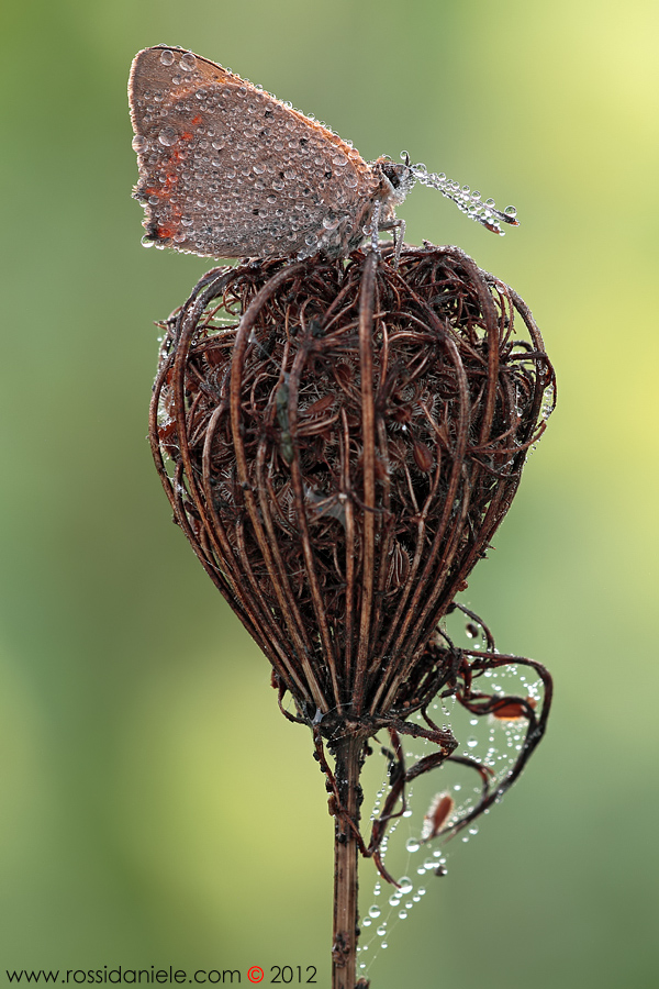 Aspettando un raggio di sole...