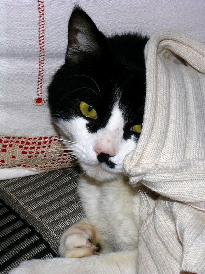 *** Appena sveglio ***