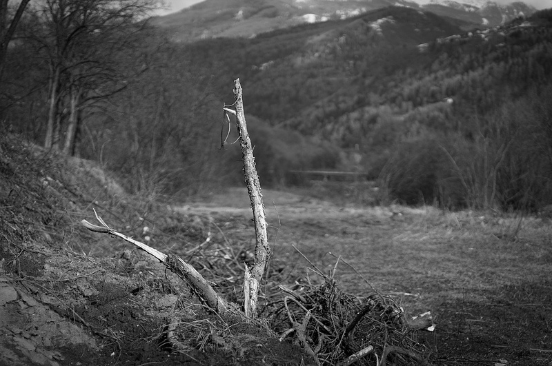 Sepoltura Frettolosa