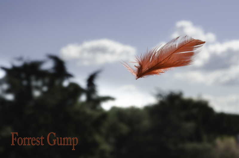 Forrest Gump
