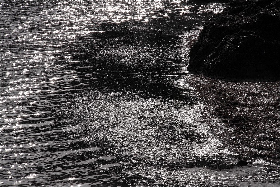 Diatomee ...e luccichii