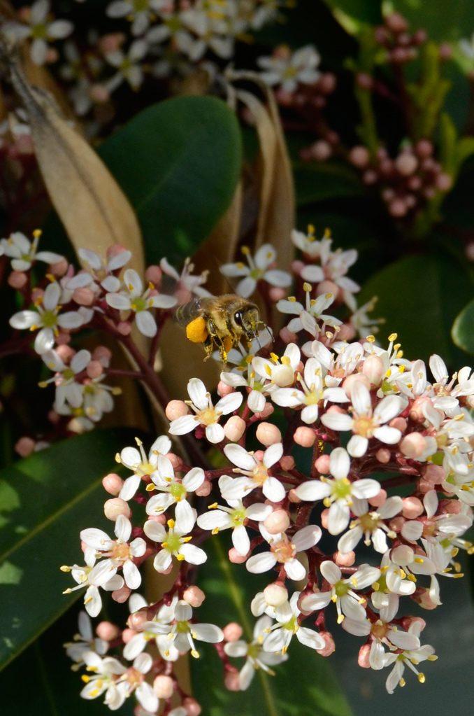 Rifornimento compiuto