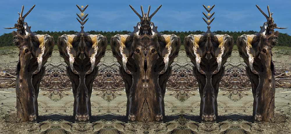 LEGNI- ASSEMBLAGGI� 2013