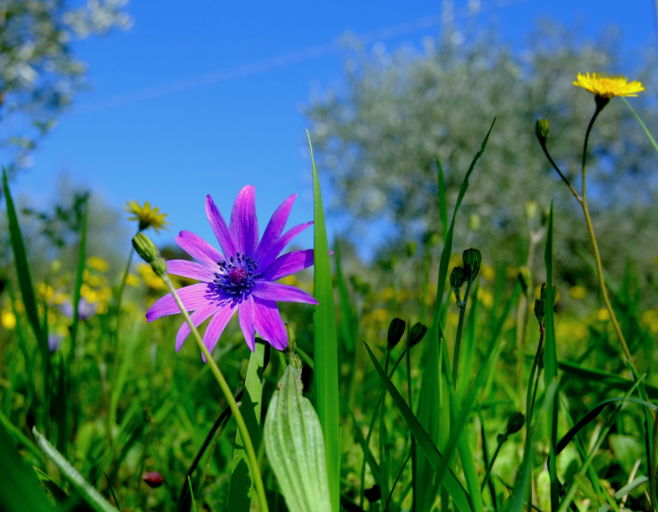 Prati di Doccia (toscana)
