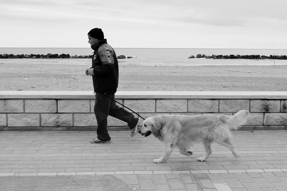 Corsetta sincronizzata